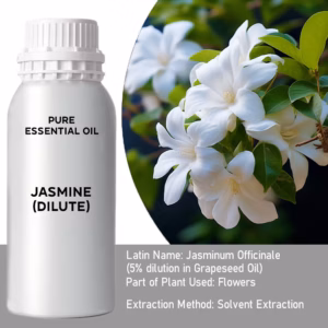 Jasmin Utspädd Ren Eterisk Olja 500ml