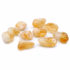 L Tumble Stones - Citrino (Brasil)