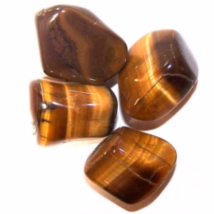 Tumble Stones - Tiger Eye - Gold - Large - 24pcs