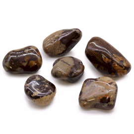 African Tumble Stones - Jasper Nguni - Large - 6pcs