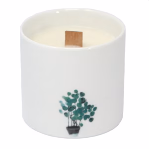 Bougies Botaniques - Grand - Jasmin Sauvage