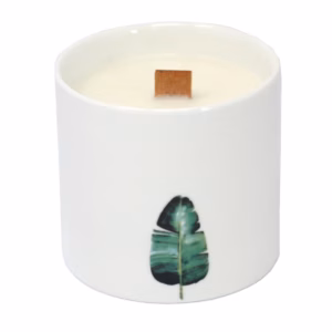 Bougies Botaniques - Grand - Jasmin Sauvage