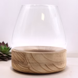 Terrarium auf Natürlichem Tungholz - Groß