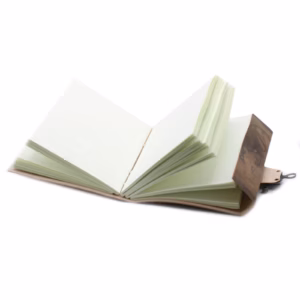 Notesbog med Drage i Læder - 20x15cm