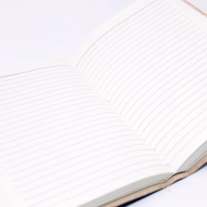 Leather Tigereye with Belts Notebook 15x10cm