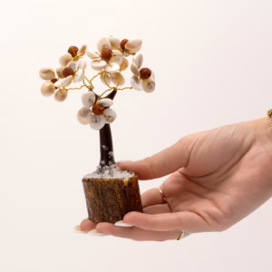 Gomati Chakra Circle Stone Trees med Rudraksha - Mellemstor - (45 Sten)