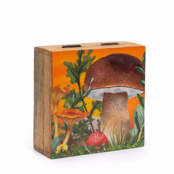 Boîte Carrée Med 13,5x13,5x6cm - Design Champignon Marron