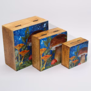 Boîte Carrée Med 13,5x13,5x6cm - Motif Champignon Sarcelle
