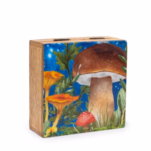Boîte Carrée Med 13,5x13,5x6cm - Motif Champignon Sarcelle