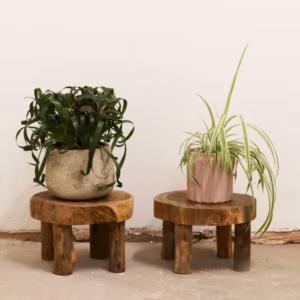 Teak Pad Display - Medium