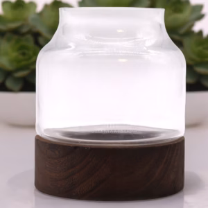 Mediumformet Terarium på Mørkt Tungtre - 16x18cm