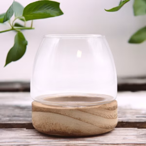 Terarium sur Bois de Tung Naturel - Mini