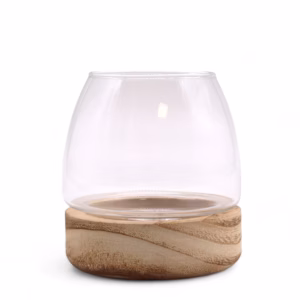 Terarium sur Bois de Tung Naturel - Mini