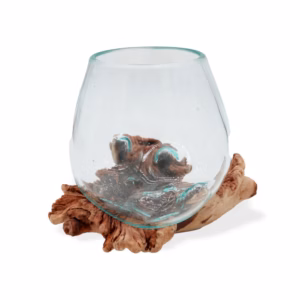 Molten Glass On Rare Parasite Wood