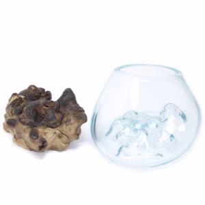 Vase en Verre Soufflé sur Racine - Petit