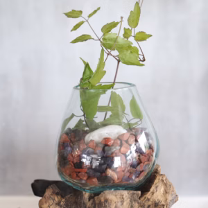 Verre sur Bois avec Support - Grand Bol