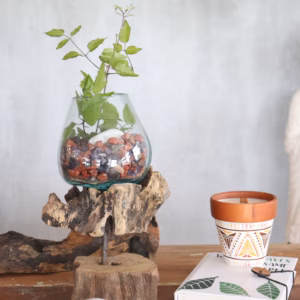 Verre sur Bois avec Support - Grand Bol