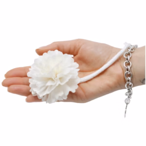 Naturlige Diffuser Blomster - Med Carnation på Snor