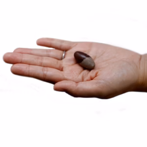 Een Inch Lingam - 3 Stenen