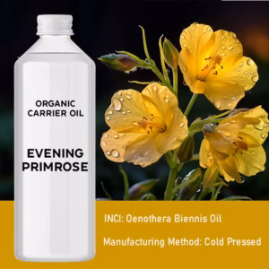 Organic Evening Primrose Öl 1 Litre