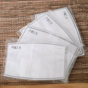 PM2.5 Filter voor Gezichtsmasker - Volwassen