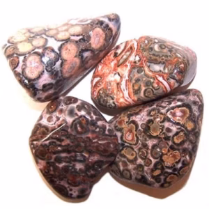 L Tumble Stones - Piel de Leopardo