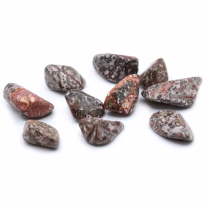 L Tumble Stones - Piel de Leopardo