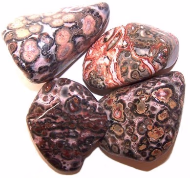 L Tumble Stones - Piel de Leopardo