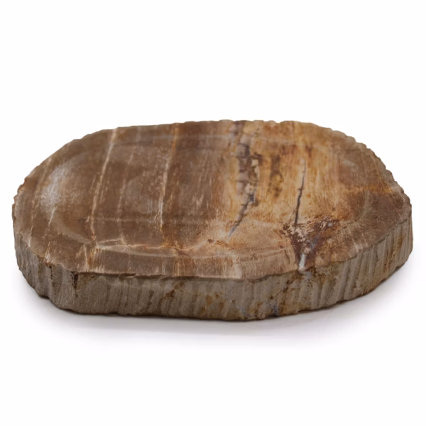 Braune Seifenschale aus Versteinertem Holz