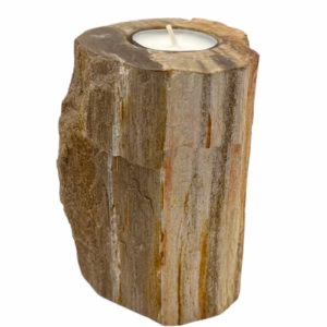 Portavelas de Madera Petrificada - Individual Alto