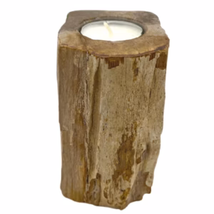 Portavelas de Madera Petrificada - Individual Alto