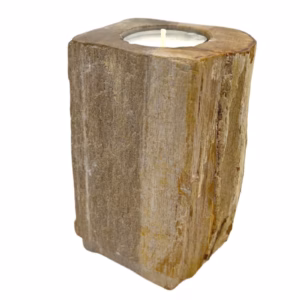 Portavelas de Madera Petrificada - Individual Alto