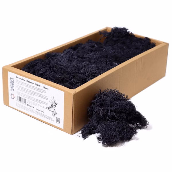 Hochwertige Dekoration Islandmoos - Schwarz - 635g Box