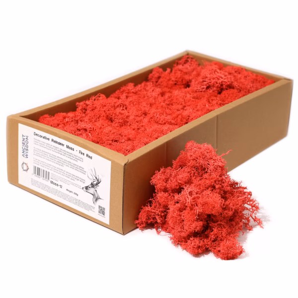 Mousse de Renne Décor Qualité - Rouge Feu - Boîte 635g