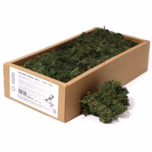 Quality Decoration Reindeer Moss - Grass Green - 635g Box