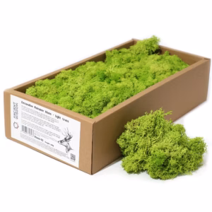 Mousse de Renne Décor Qualité - Vert Clair - Boîte de 635g