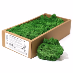 Mousse de Renne Décor Qualité - Vert Mousse - Boîte 635g