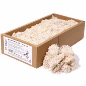 Mousse de Renne Décor Qualité - Vibes Naturelles - Boîte de 635g
