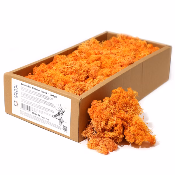 Rendiermos Decor Kwaliteit - Oranje - 500g Doos