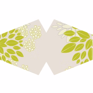Masques Personnalisés en Tissu Adulte - Feuilles Vertes