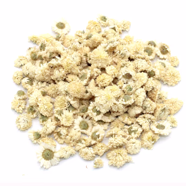 Camomille Romaine - Fleur 1kg