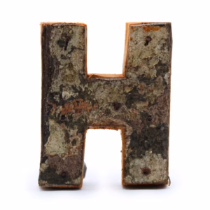 Rustikt Bogstav i Bark - "H" - 7cm