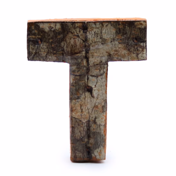 Lettre Écorce Rustique - "T" - 7cm