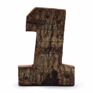Rustikt Tal i Bark - "1" - 7cm