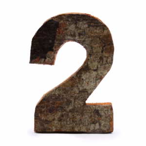 Rustikt Tal i Bark - "2" - 7cm