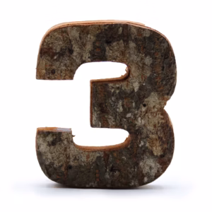 Rustikt Tal i Bark - "3" - 7cm