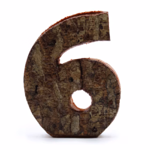 Rustikt Tal i Bark - "6" - 7cm