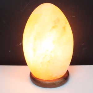 Lampe de Sel de l'Himalaya - Oeuf Base en Bois