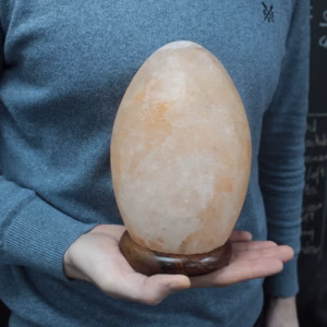 Lampe de Sel de l'Himalaya - Oeuf Base en Bois