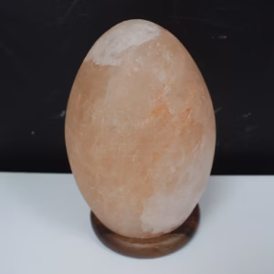 Lampe de Sel de l'Himalaya - Oeuf Base en Bois